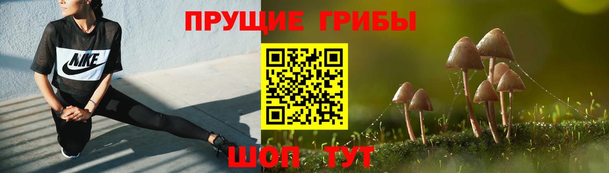 Псилоцибиновые грибы GOLDEN TEACHER  Вход с VPN  Галлюциногенные грибы Magic Shrooms  Братск 